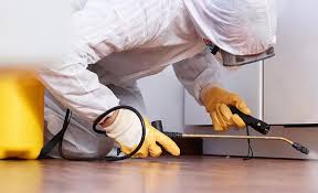 Best Pest Exclusion Services  in Punta Rassa, FL